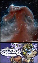 Size: 350x577 | Tagged: artist:saturnspace, clockwise whooves, dinky hooves, doctor whooves, exploitable meme, horsehead nebula, idw, meme, nebula, safe, time turner, universe is so fascinating