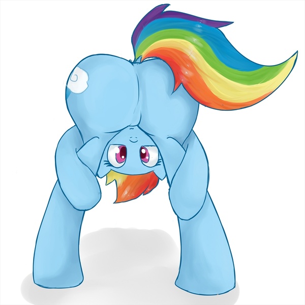 Size: 1200x1200 | Tagged: artist:zokkili, derpibooru import, dock, featureless crotch, plot, presenting, rainbow dash, solo, suggestive