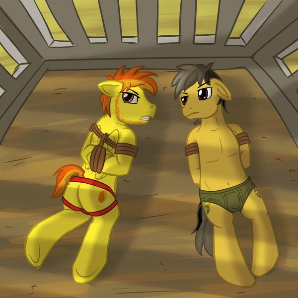 Size: 1280x1280 | Tagged: artist:fuzebox, bare chest, belly button, bondage, briefs, clothes, crotch bulge, daring do, dashing do, derpibooru import, firestorm, gay, jockstrap, male, nudity, plot, questionable, rule 63, spitfire, topless, underwear