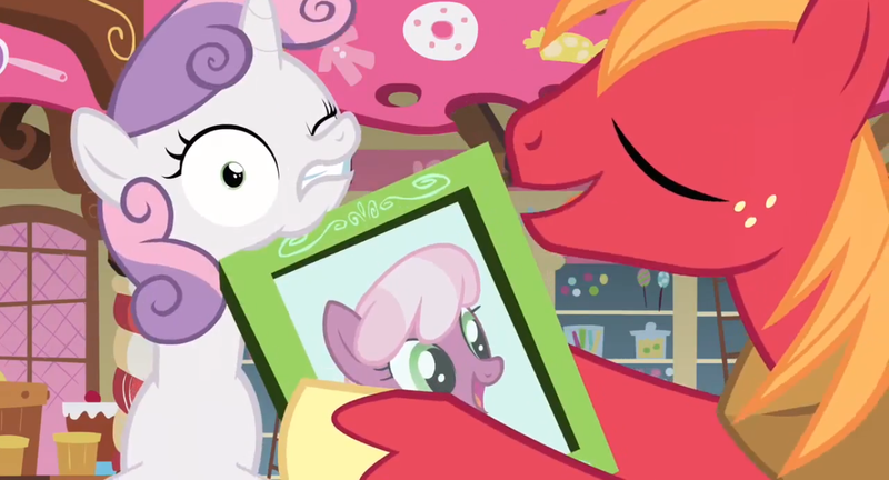 Size: 1366x738 | Tagged: safe, derpibooru import, screencap, big macintosh, cheerilee, sweetie belle, earth pony, pony, hearts and hooves day (episode), duo, faic, hearts and hooves day, male, photo, picture frame, stallion