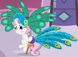 Size: 864x635 | Tagged: blushing, derpibooru import, hat, peacock, peacock feathers, ponyville confidential, safe, screencap, solo, sweetie belle