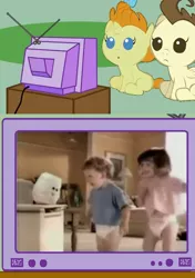 Size: 494x700 | Tagged: derpibooru import, diaper, exploitable meme, pound cake, pumpkin cake, safe, tv meme