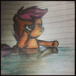 Size: 894x894 | Tagged: artist:king dedede, derpibooru import, safe, scootaloo