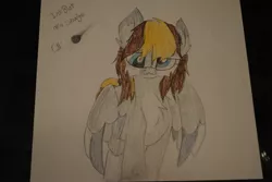 Size: 1024x685 | Tagged: safe, artist:indigomist15, derpibooru import, oc, oc:inkblot, unofficial characters only, pegasus, pony, offspring, parent:derpy hooves, parent:doctor whooves, parents:doctorderpy, photo, traditional art