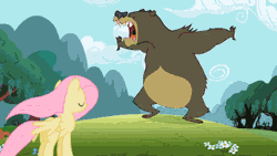 Size: 380x214 | Tagged: safe, derpibooru import, screencap, fluttershy, harry, bear, pegasus, pony, lesson zero, angry, animal abuse, animated, biting, crying, eyes closed, female, fluttershy kills a bear, flying, frown, glare, gritted teeth, kicking, mare, open mouth, roar, stomping, you know for kids