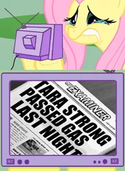 Size: 438x600 | Tagged: derpibooru import, exploitable meme, fake headline, fart joke, fluttercry, fluttershy, gas, implied farting, meta, overreaction, parody, safe, seems legit, tara strong, tv meme