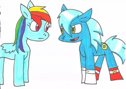 Size: 976x688 | Tagged: artist:cmara, crossover, crossover shipping, derpibooru import, female, interspecies, male, ponified, rainbow dash, safe, shipping, sonicdash, sonic the hedgehog, sonic the hedgehog (series), straight, traditional art