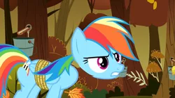 Size: 640x360 | Tagged: animation error, derpibooru import, fall weather friends, great moments in animation, headless, modular, rainbow dash, safe, screencap, solo, wat