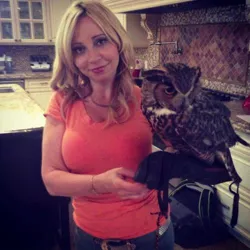 Size: 500x500 | Tagged: derpibooru import, hooters, human, irl, irl human, owl, photo, pun, safe, source needed, tara strong