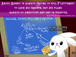 Size: 800x600 | Tagged: acme, angel bunny, angel is a bunny bastard, blueprint, derpibooru import, fluttershy, headcanon, mylittleheadcanon, plan, safe, sign, vulgar