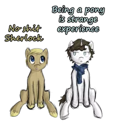 Size: 859x929 | Tagged: artist:pms-ka, bbc sherlock, clothes, derpibooru import, john watson, ponified, safe, scarf, sherlock holmes, vulgar