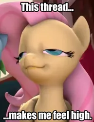 Size: 270x350 | Tagged: 3d, caption, derpibooru import, flutterhigh, fluttershy, high, impact font, reaction image, safe, solo, source filmmaker