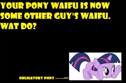 Size: 737x485 | Tagged: derpibooru import, filly, meme, obligatory pony, safe, text, text only, twilight sparkle, waifu, what do, yellow words