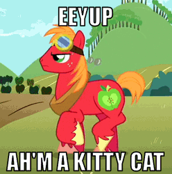Size: 477x480 | Tagged: safe, derpibooru import, edit, edited screencap, screencap, big macintosh, cat, earth pony, pony, the super speedy cider squeezy 6000, animated, behaving like a cat, cropped, cute, eeyup, goggles, image macro, macabetes, male, solo, stallion, sweat, sweet apple acres, trotting, trotting in place