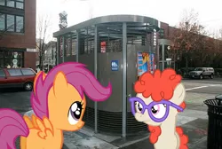 Size: 800x536 | Tagged: bad pun, derpibooru import, glasses, loo, ponies in real life, safe, scootaloo, twist