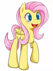 Size: 1050x1400 | Tagged: artist:zokkili, fluttershy, safe, solo