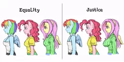 Size: 800x402 | Tagged: ambiguous facial structure, anthro, artist:shepherd0821, breasts, bust chart, busty fluttershy, busty pinkie pie, busty rainbow dash, clothes, delicious flat chest, derpibooru import, drama, equality, female, flattershy, fluttershy, justice, line-up, opinion, pinkie pie, rainbow dash, safe, size comparison, sweater, sweatershy