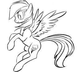 Size: 789x740 | Tagged: artist:rubrony, derpibooru import, monochrome, rainbow dash, safe, solo