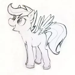 Size: 463x463 | Tagged: safe, artist:thepingaslord, derpibooru import, scootaloo, hooves, monochrome, solo, traditional art, unshorn fetlocks