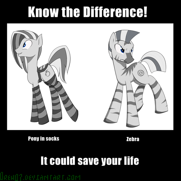 Size: 2048x2048 | Tagged: artist:oreh07, clothes, derpibooru import, fallout equestria, know the difference, oc, saddle, safe, socks, striped socks, unofficial characters only, zebra