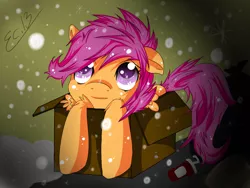 Size: 1024x768 | Tagged: safe, artist:scootaloocuteness, derpibooru import, scootaloo, pony, abandoned, box, cute, cutealoo, homeless, orphan, pony in a box, scootalone, snow, snowfall, solo