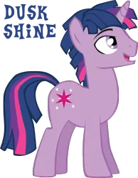 Size: 1291x1662 | Tagged: artist:trotsworth, derpibooru import, dusk shine, rule 63, safe, simple background, solo, transparent background, twilight sparkle, vector