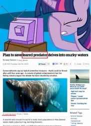 Size: 562x771 | Tagged: article, basking shark, derpibooru import, exploitable meme, facehoof, fail, meme, new zealand herald, safe, shark, text, tv meme, twilight sparkle