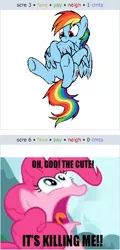 Size: 252x523 | Tagged: caption, derpibooru import, exploitable meme, juxtaposition, juxtaposition win, pinkie pie, preening, rainbow dash, safe