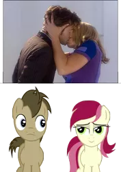 Size: 2480x3507 | Tagged: safe, artist:water-horse, derpibooru import, doctor whooves, roseluck, time turner, earth pony, pony, background pony, doctor who, doctorrose, duo, female, funny, kissing, male, mare, rose tyler, shipping, stallion, the doctor