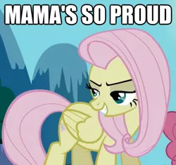 Size: 625x587 | Tagged: cropped, derpibooru import, discorded, edit, edited screencap, flutterbitch, fluttershy, image macro, lidded eyes, safe, screencap, solo focus, the return of harmony