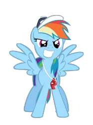 Size: 1403x1872 | Tagged: artist:masterrottweiler, derpibooru import, may the best pet win, rainbow dash, rainbow dashs coaching whistle, safe, simple background, transparent background, vector, whistle, whistle necklace