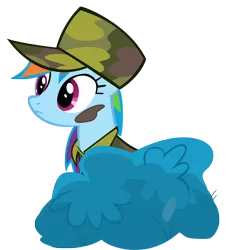 Size: 2994x3314 | Tagged: safe, artist:boneswolbach, derpibooru import, rainbow dash, pony, dragon quest, bush, camouflage, female, hat, mare, simple background, solo, transparent background, vector