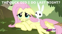 Size: 640x348 | Tagged: safe, derpibooru import, edit, edited screencap, screencap, angel bunny, fluttershy, badger, pegasus, pony, squirrel, hurricane fluttershy, angelshy, caption, female, hangover, hub logo, image macro, male, mare, morning after, out of context, shipping, straight