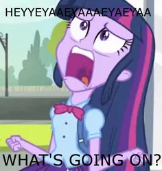 Size: 716x758 | Tagged: safe, derpibooru import, edit, edited screencap, screencap, twilight sparkle, equestria girls, equestria girls (movie), cropped, exploitable meme, he-man, heyyeyaaeyaaaeyaeyaa, solo, twiscream