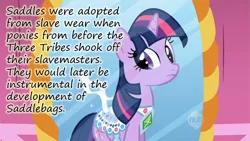 Size: 640x360 | Tagged: derpibooru import, edit, edited screencap, friendship is magic, gem saddle twilight, headcanon, insane pony thread, saddle, saddle bag, safe, screencap, slavery, solo, tribes, tumblr, twilight sparkle