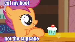 Size: 854x480 | Tagged: animated, apple bloom, call of the cutie, cupcake, derpibooru import, edit, edited screencap, hoof in mouth, image macro, safe, scootaloo, screencap
