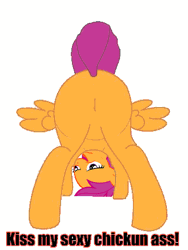 Size: 345x460 | Tagged: suggestive, derpibooru import, scootaloo, pegasus, pony, animated, butt, chicken butt, chickun, exploitable meme, flank, forced meme, kiss my ass, meme, plot, scootabutt, scootachicken, solo