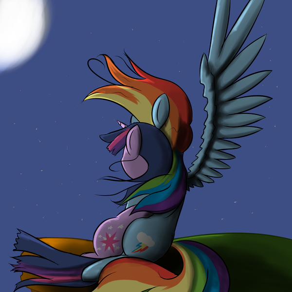 Size: 1280x1280 | Tagged: safe, artist:geneticanomaly, derpibooru import, rainbow dash, twilight sparkle, fanfic, cover art, female, hug, lesbian, night, shipping, sitting, twidash