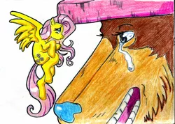 Size: 1125x799 | Tagged: artist:irie-mangastudios, choppershy, crossover, fluttershy, one piece, safe, tony tony chopper