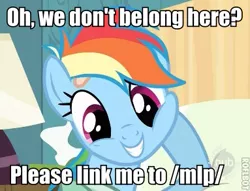 Size: 383x292 | Tagged: caption, cropped, edit, edited screencap, hub logo, image macro, /mlp/, rainbow dash, reaction image, read it and weep, roflbot, safe, screencap, text