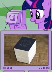 Size: 511x700 | Tagged: book, derpibooru import, exploitable meme, safe, tv meme, twilight sparkle, wikipedia