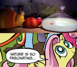 Size: 1192x1034 | Tagged: derpibooru import, exploitable meme, fluttershy, goldfish, idw, larva, meme, nature is so fascinating, safe, the human centipede