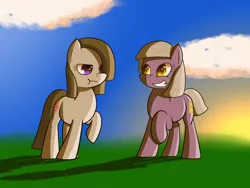 Size: 1024x768 | Tagged: safe, artist:mechashockwave, derpibooru import, limestone pie, marble pie, earth pony, pony, commission, pie sisters