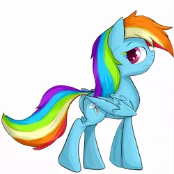 Size: 1050x1050 | Tagged: safe, artist:zokkili, derpibooru import, rainbow dash, solo