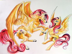 Size: 800x599 | Tagged: safe, artist:lucky978, derpibooru import, fluttershy, wolf, duality, flutterwolf, species swap, traditional art