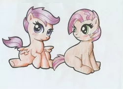 Size: 3510x2550 | Tagged: artist:warumono1989, babs seed, blushing, derpibooru import, safe, scootaloo, traditional art