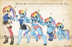 Size: 1600x1035 | Tagged: safe, artist:shepherd0821, derpibooru import, rainbow dash, anthro, human, pony, semi-anthro, unguligrade anthro, anthro chart, anthro with ponies, belly button, bipedal, chart, clothes, high-cut clothing, humanized, line-up, midriff, ponytail, salute, sports panties, unshorn fetlocks