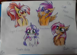 Size: 2560x1836 | Tagged: apple bloom, artist:tenebristayga, babs seed, blushing, chest fluff, cutie mark crusaders, derpibooru import, ear fluff, floppy ears, fluffy, safe, scootaloo, sweetie belle, traditional art
