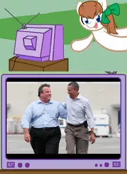 Size: 625x853 | Tagged: barack obama, chris christie, derpibooru import, exploitable meme, lol ur fat, oc, oc:troll-raipony, politics, safe, tv meme, unofficial characters only