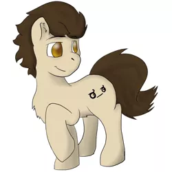 Size: 800x800 | Tagged: safe, artist:horseofpretense, derpibooru import, oc, unofficial characters only, earth pony, pony, chest fluff, male, solo
